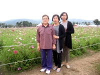 상패총동문회 | [구리] 한강공원-코스모스축제 2012-10-05 - Daum 카페 [구리] 한강공원-코스모스축제 2012-10-05