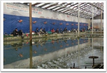 벌트 > 경춘낚시터 : 낚시사랑