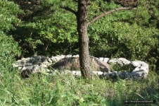 부서/신도회앨범 - 여수 금오도 비렁길을 걷다