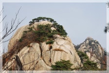 양주시 농업기술센터 모바일 - 열린마당  - 바이오농업대학게시판 