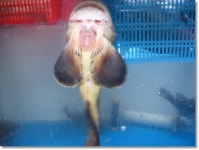 [통영]언제나 재밌는 시장구경_서호시장