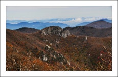 맛집 정보 검색 NO.1 사이트, 메뉴판닷컴 :: 맛집 정보가 가득