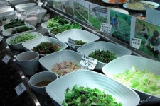 채식전문점 :: 채식전문점,가로비,서울대 구내식당,채식 :: 맛집 정보 검색 NO.1 사이트, 메뉴판닷컴 :: 맛집 정보가 가득