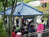 [김주영 소설가와 함께 한 맛집] 한국 3대 약수, 달기약수 닭백숙이 별미인 청송맛집 | 네이트 판