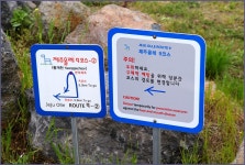 그 아름다움, 5월의 제주 올레길 - 9,10 코스 2편