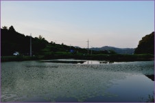 (소오지)바람따라 구름따라 675회 :: 토종붕어를 사랑하는 사람들