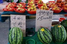 2013평창 메밀부치기 축제를 평창시장에서 만나보세요 - 여행정보 - 강원스피치아카데미 2013평창 메밀부치기 축제를 평창시장에서 만나보세요