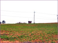 (신당제)바람따라 구름따라 647회 :: 토종붕어를 사랑하는 사람들