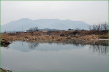 ( 대지수로 )바람따라 구름따라 788회 :: 토종붕어를 사랑하는 사람들