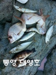 대영호]안좋은날씨에 상사리&전갱이요~