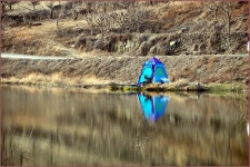 (남산지)바람따라 구름따라 491회 :: 토종붕어를 사랑하는 사람들