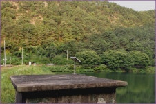 (지촌지)바람따라 구름따라 679회 :: 토종붕어를 사랑하는 사람들