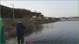 ( 대대박 )바람따라 구름따라 806회 :: 토종붕어를 사랑하는 사람들