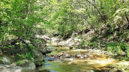 평창부동산/전원주택/토지매매/청산공인중개사 | 시골집매매 섬섬옥수 흐르는 계곡지나 심심산골에 있는 강원도 홍천 내면 부동산, - Daum 카페... 