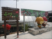 논산여행 복음자리와 함께하는 친환경 딸기체험