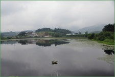 바람따라 구름따라 1009회( 백양지) :: 토종붕어를 사랑하는 사람들