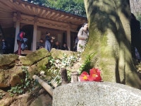 부산테마여행사