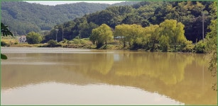바람따라 구름따라 934회( 고내곡지) :: 토종붕어를 사랑하는 사람들