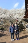 부산테마여행사