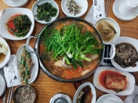 [안산여행] 경기도 맛집에서 동춘서커스와 태양의 서커스를 생각하다 | 네이트 판