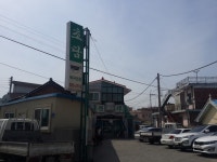 세잎클로버와 네잎클로버-대구경북3040, 30대,40대의 친목공동체 | [충남 보령맛집] 초담복국 - 정말 개운한 복어매운탕 - Daum 카페 [충남... 