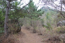 검단산사랑 | 고흥 마복산 - Daum 카페 고흥 마복산