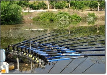 (사곡지)바람따라 구름따라 586회 :: 토종붕어를 사랑하는 사람들