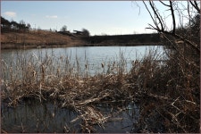 (연하곡지)바람따라 구름따라 566회 :: 토종붕어를 사랑하는 사람들