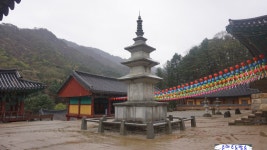 (춘하추동방송 동우회) | 치악산 구룡사를 다녀오다. - Daum 카페 치악산 구룡사를 다녀오다.