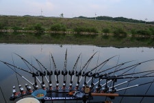 강원도원주에서...섬강줄기 :: 토종붕어를 사랑하는 사람들