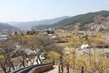 부산테마여행사