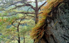 산행기 - 행경매기산, 피난봉, 출세봉, 소리산 - 경기 양평군 단월면 2009.10.01