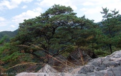 산행기 - 행경매기산, 피난봉, 출세봉, 소리산 - 경기 양평군 단월면 2009.10.01