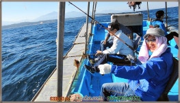 (東)동해조황 - ,동해바다 어구가자미 엑스포호 어구가자미 씨알은 작아도 대량으로 마리수조황입니다.