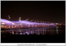 서래섬 유채꽃 노랑 꽃불이 활활~~반포달빛무지개분수쇼!!