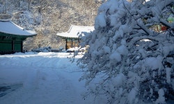 (스압)12/8 광덕산 산행[광덕사~이마당약수터~강당리] - 등산 갤러리