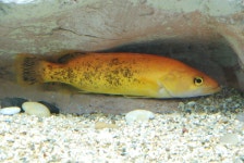 금산군 보기 > 자유게시판 > 열린게시판 > 소통참여 > 대표 대표