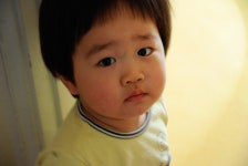 전국공무원노동조합 부산지역본부 사하구지부 2010년 봄에 만난 아름다운 모습들