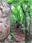 連 理 枝 | 오도산자연휴양림에서 미녀봉 다녀오기 - Daum 카페 오도산자연휴양림에서 미녀봉 다녀오기