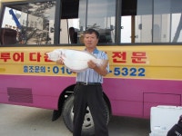 (西)서해조황 - 21일 바다루어 다운샷 조황