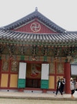 [전남 여행] 영광 불갑사에서 영광스럽게, 상사화는 못 보았지만 연꽃같은 눈매의 인연을 | 네이트 판  [전남 여행] 영광 불갑사에서 영광스럽게... 