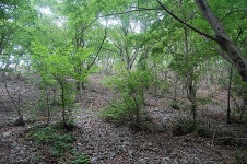 캠프랜드CampLand | 2012..28th..청도 수리덤 오토캠핑장(07.13~15) - Daum 카페 2012..28th..청도 수리덤 오토캠핑장(07.13~15)