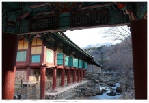 부산테마여행사