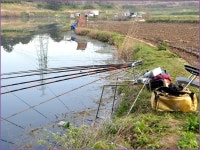 (창녕권 )바람따라 구름따라 655회 :: 토종붕어를 사랑하는 사람들