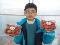 양평 별내체험마을에서의 맛있는 딸기따기체험 & 돈까스,화단자,무차 만들기