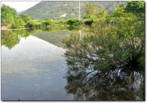 (사곡지)바람따라 구름따라 586회 :: 토종붕어를 사랑하는 사람들