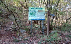 산행기 - 행경매기산, 피난봉, 출세봉, 소리산 - 경기 양평군 단월면 2009.10.01