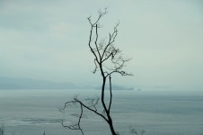 GX-20 ) 동검도 나머지 샷들 - 삼성카메라 갤러리