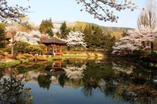 남편들이 보아야할 글(펌)