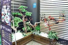 범계-이렇게 럭셔리한 회를 본적있어요?-회에 꽃이폈어요^-^-하루끼 | 보배드림 여행/맛집/요리